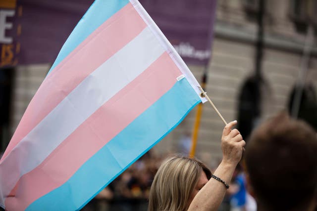 <p>Transgender and gender-diverse patients should be cared for in an environment that ‘respects their gender identity’, the guidelines state</p>