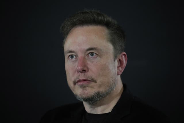 Elon Musk owns the site formerly known as Twitter (Kirsty Wigglesworth/PA)