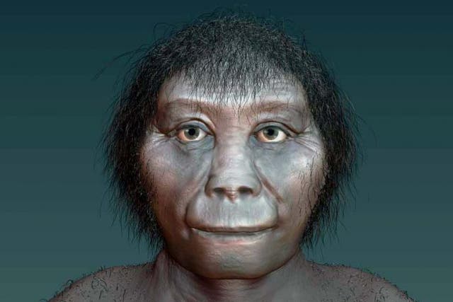 <p>Artist’s impression of Homo floresiensis</p>