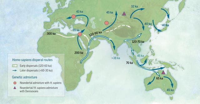 <p>Map of sites and postulated migratory pathways associated with modern humans dispersing across Asia</p>