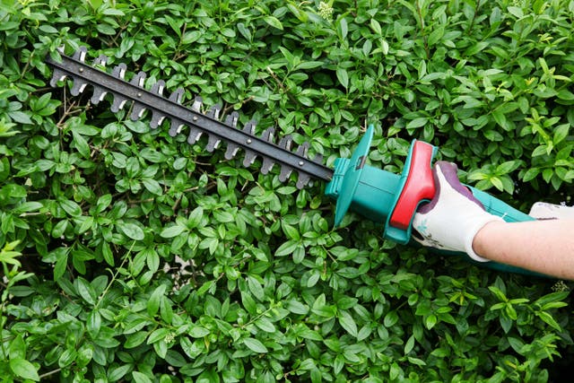 The right tools will make hedge-trimming a breeze (Alamy/PA)