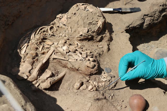 <p>An archaeologist cleans an area where human remains were discovered at burial sites from around 3,800 years ago, in La Libertad, Peru August 9, 2024</p>