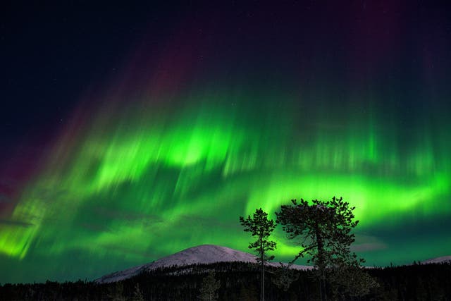 <p>Northern Lights</p>