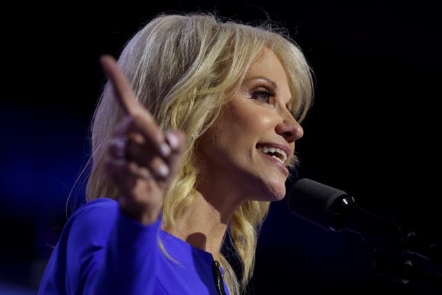 <p>Dan Bongino accused Kellyanne Conway of ‘sabotaging’ Donald Trump’s presidential campaign</p>