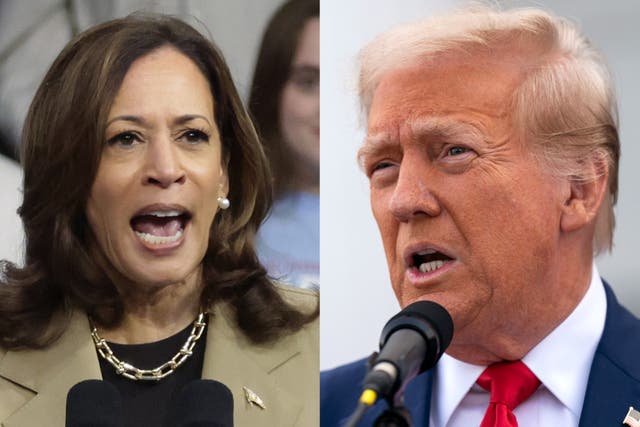 <p>Kamala Harris and Donald Trump. The 2024 candidates have laid out their economic pitches to voters </p>