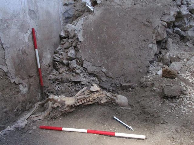 <p>Skeleton of ‘individual 1’, a male aged around 50 years. The positioning suggests he was suddenly crushed by the collapse of a large wall fragment</p>