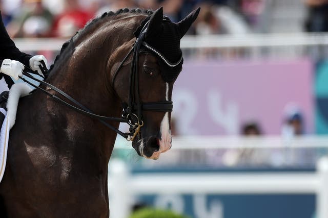 <p> Victoria Max-Theurer and horse Abegglen FH NRW of Team Austria compete in the Dressage Individual Grand Prix Freestyle on day nine of the Olympic Games Paris 2024 </p>