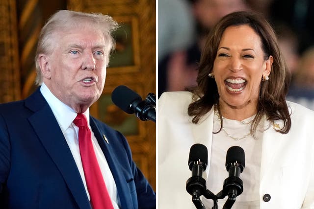 <p>Republican nominee Donald Trump and Democrat Kamala Harris have never been in the same room, except for a State of the Union address. But that is about to change.  </p>