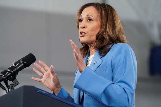 <p>Kamala Harris speaks at the Hendrick Center for Automotive Excellence in Raleigh, North Carolina on August 16</p>