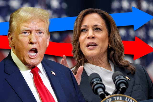 <p>Harris now has a 2.8-point lead over Trump in the latest average of national polls</p>