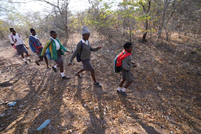 Zimbabwe Wildlife Children