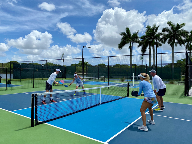 <p>Pickleball has been declared the fastest-growing sport in America for the third year running</p>