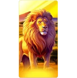 Lion
Safari